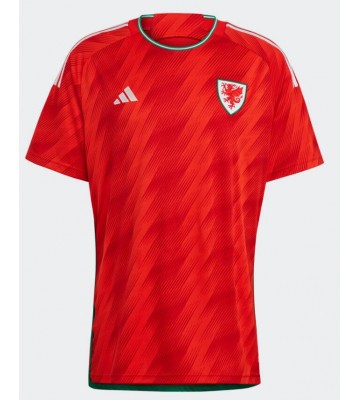 Lacne Muži Futbalové dres Wales MS 2022 Krátky Rukáv - Domáci